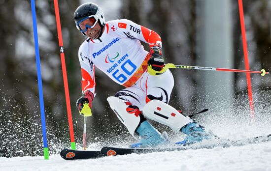 2014 Winter Paralympics. Alpine skiing. Men. Slalom