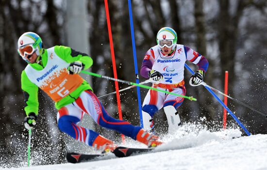 2014 Winter Paralympics. Alpine skiing. Men. Slalom