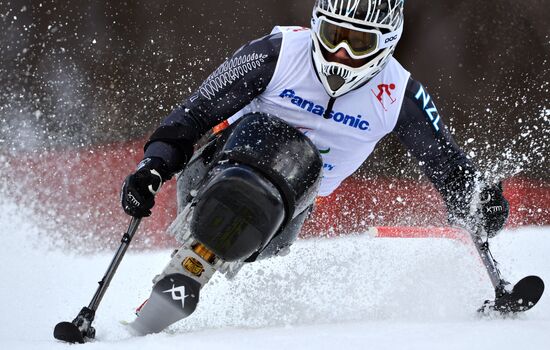 2014 Winter Paralympics. Alpine skiing. Men. Slalom