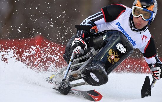 2014 Winter Paralympics. Alpine skiing. Men. Slalom