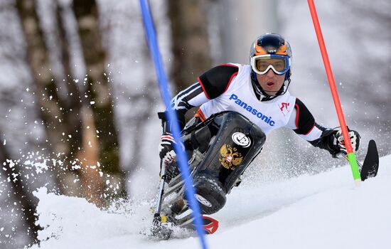 2014 Winter Paralympics. Alpine skiing. Men. Slalom