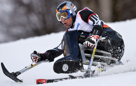 2014 Winter Paralympics. Alpine skiing. Men. Slalom