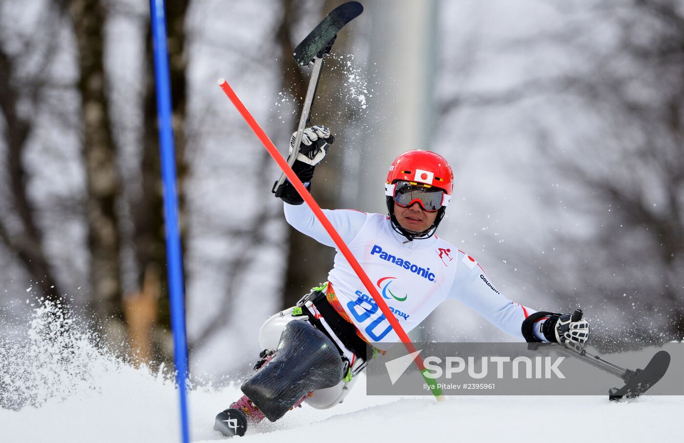 2014 Winter Paralympics. Apline Skiing. Men. Slalom