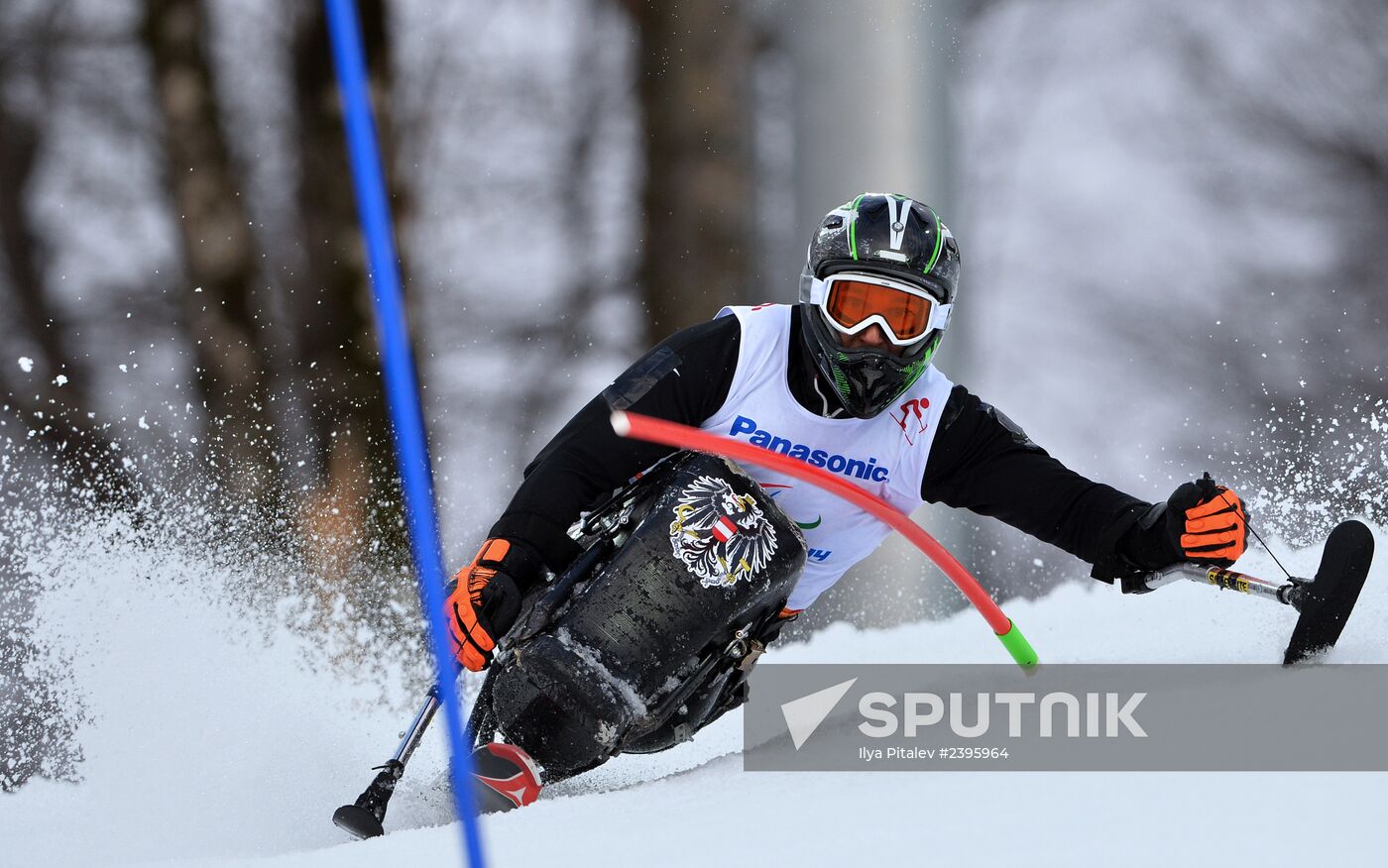 2014 Winter Paralympics. Apline Skiing. Men. Slalom