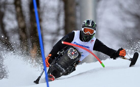 2014 Winter Paralympics. Apline Skiing. Men. Slalom