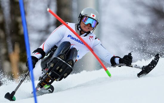 2014 Winter Paralympics. Apline Skiing. Men. Slalom