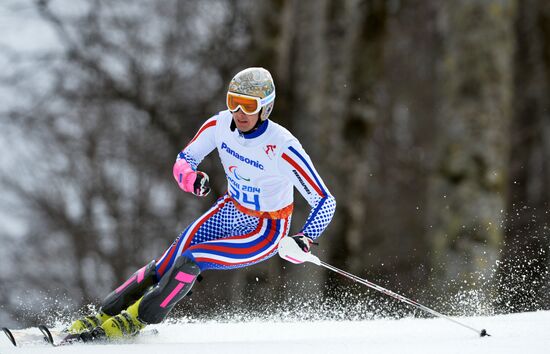 2014 Winter Paralympics. Apline Skiing. Men. Slalom