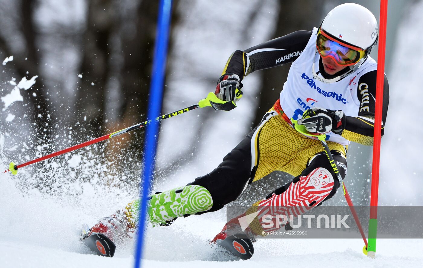 2014 Winter Paralympics. Apline Skiing. Men. Slalom