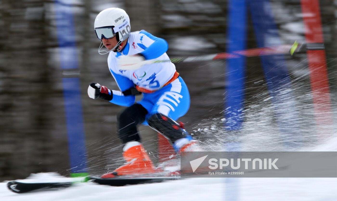 2014 Winter Paralympics. Apline Skiing. Men. Slalom