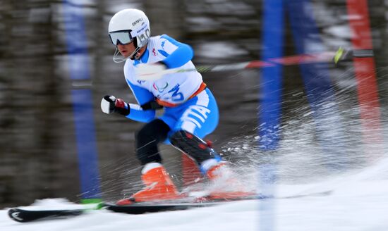 2014 Winter Paralympics. Apline Skiing. Men. Slalom