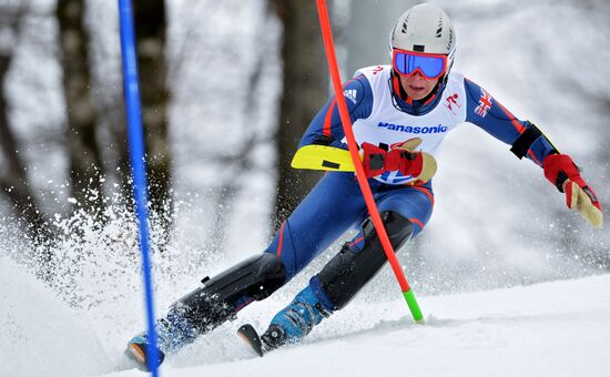 2014 Winter Paralympics. Apline Skiing. Men. Slalom