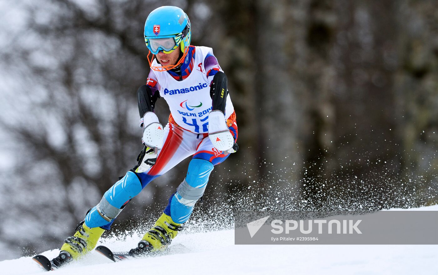 2014 Winter Paralympics. Apline Skiing. Men. Slalom