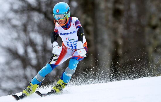 2014 Winter Paralympics. Apline Skiing. Men. Slalom