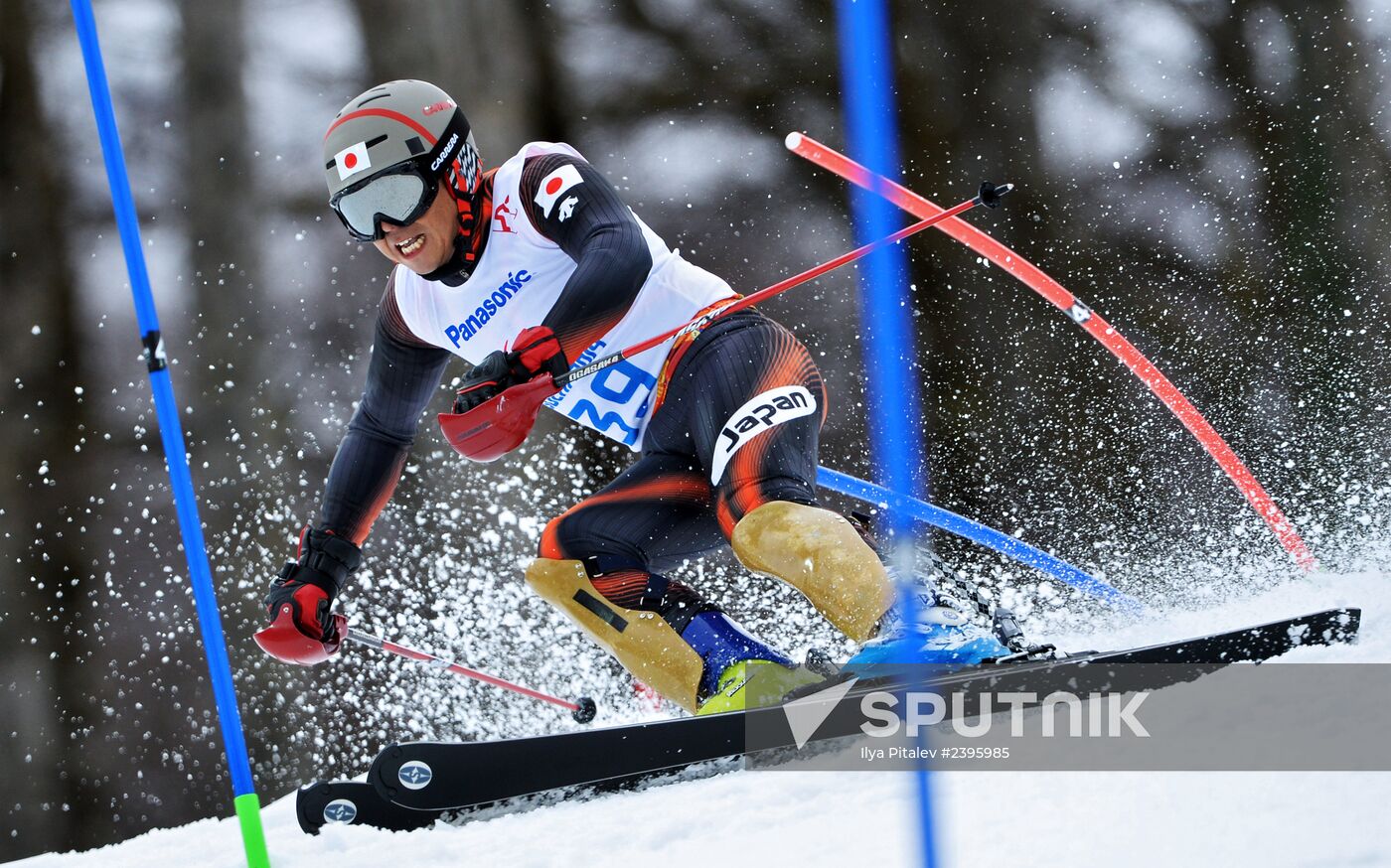 2014 Winter Paralympics. Apline Skiing. Men. Slalom