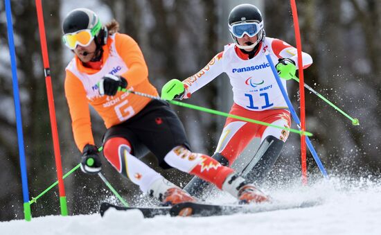 2014 Winter Paralympics. Alpine skiing. Men. Slalom