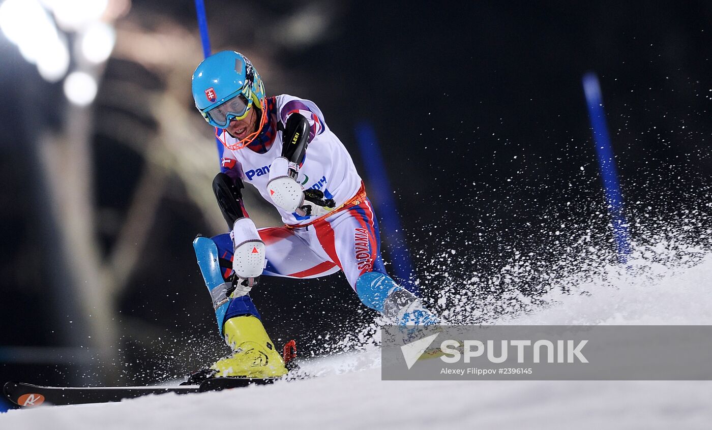 2014 Paralympics. Alpine skiing. Men. Slalom