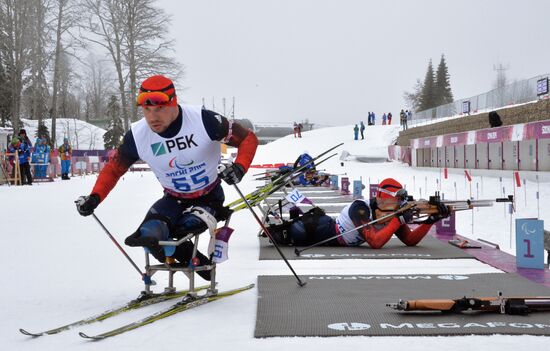 2014 Winter Paralympics. Biathlon. Men. Long distance