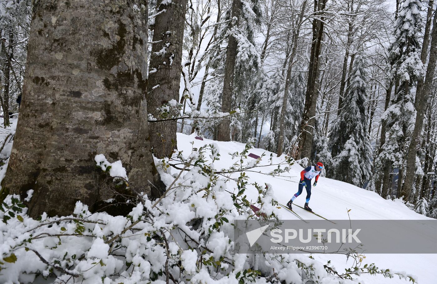 2014 Winter Paralympics. Biathlon. Men. Long distance