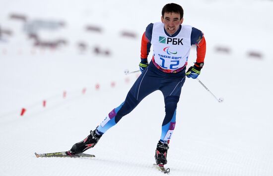 2014 Paralympics. Biathlon. Men. Long distance