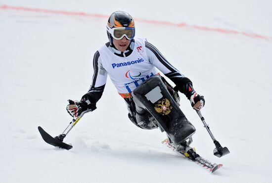 2014 Winter Paralympics. Alpine skiing. Men. Giant slalom