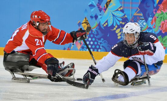 2014 Winter Paralympics. Ice sledge hockey. Finals