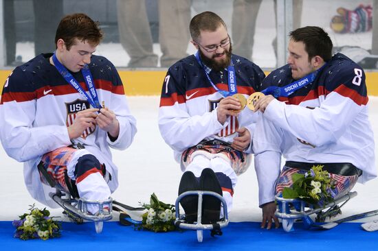 2014 Winter Paralympics. Ice sledge hockey. Finals