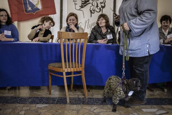Referendum in Sevastopol