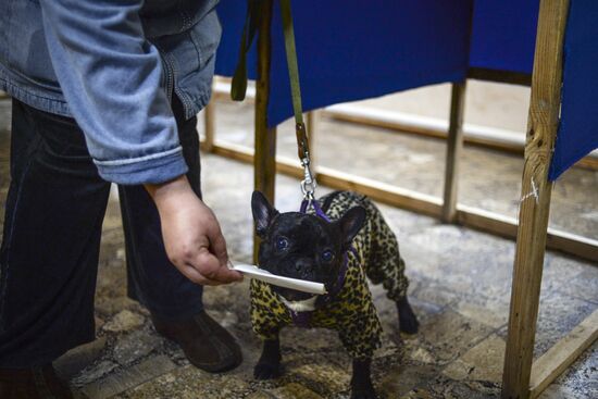 Referendum in Sevastopol