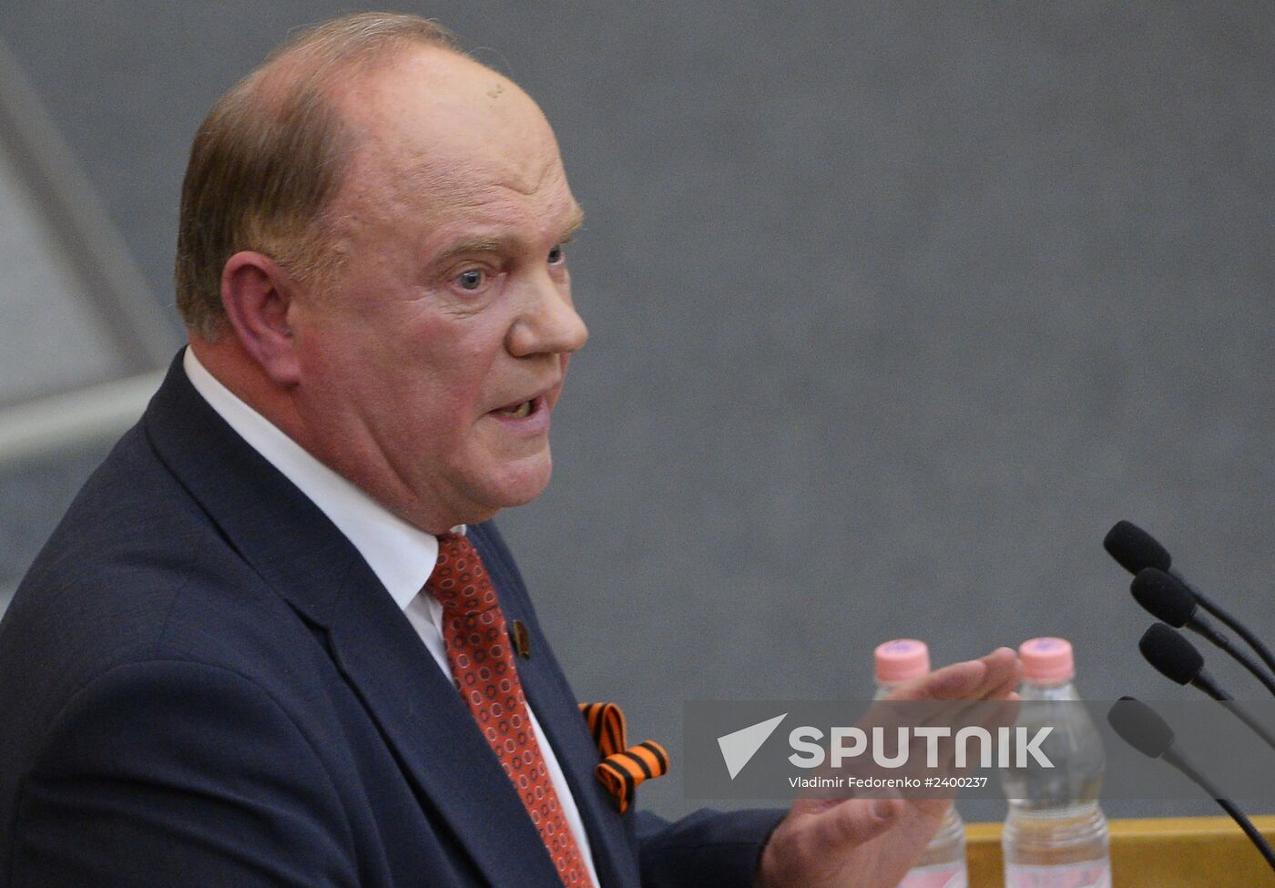 State Duma's additional plenary meeting