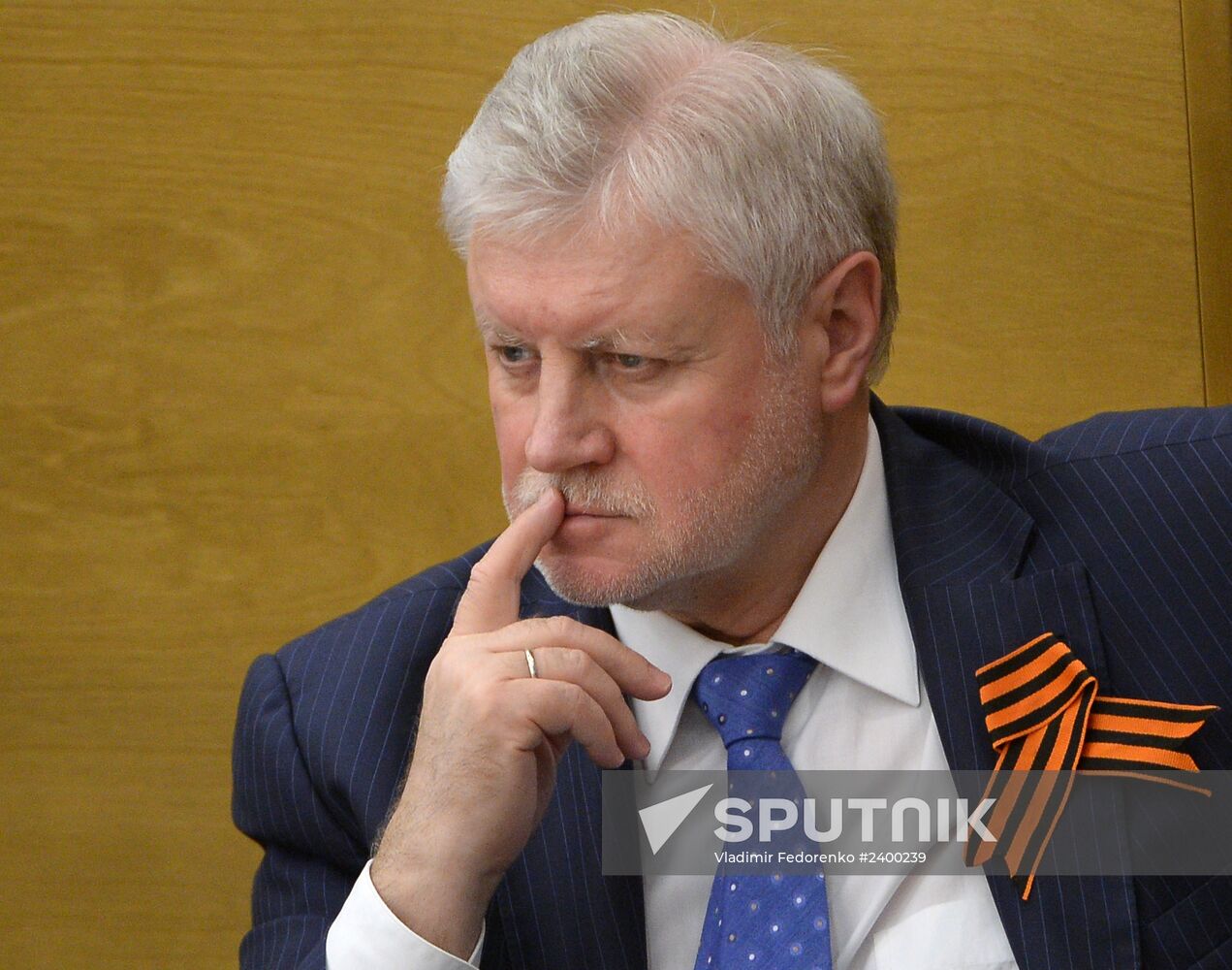 State Duma's additional plenary meeting