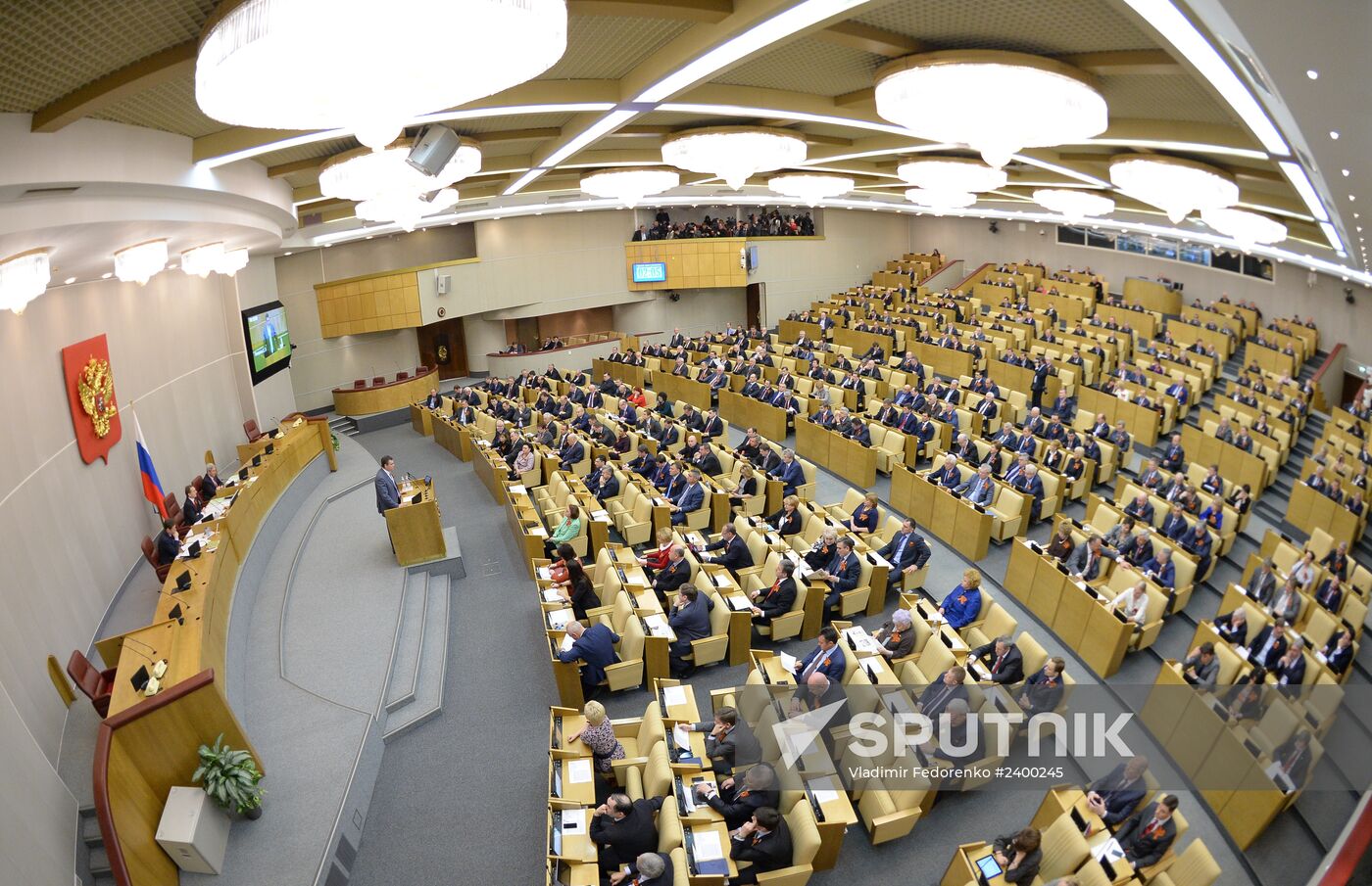 State Duma's additional plenary meeting