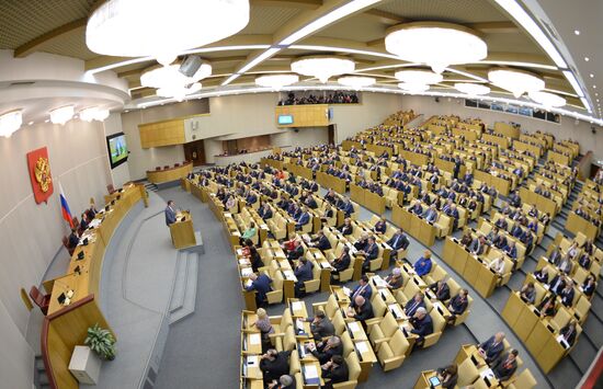 State Duma's additional plenary meeting