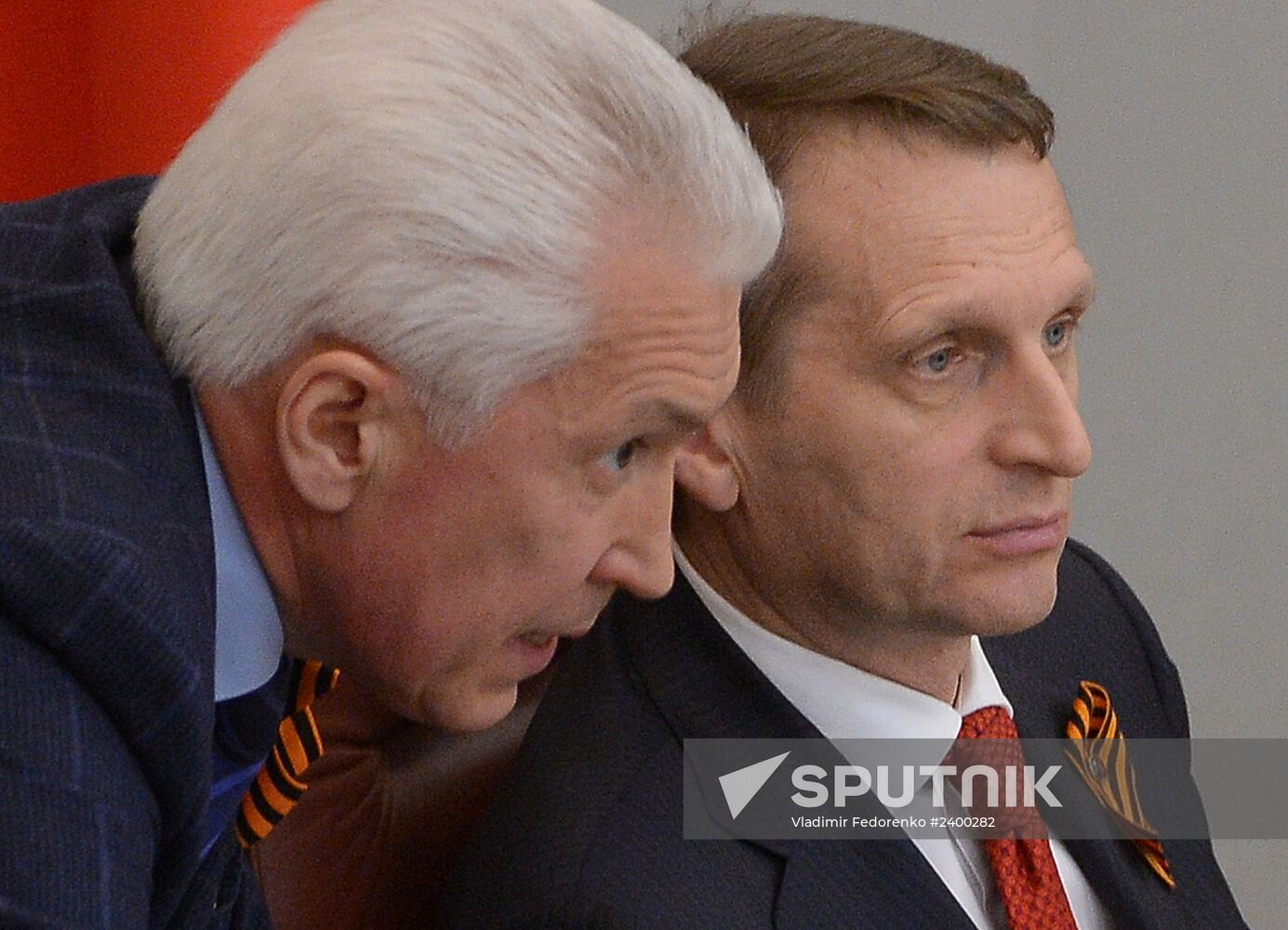 State Duma's additional plenary meeting