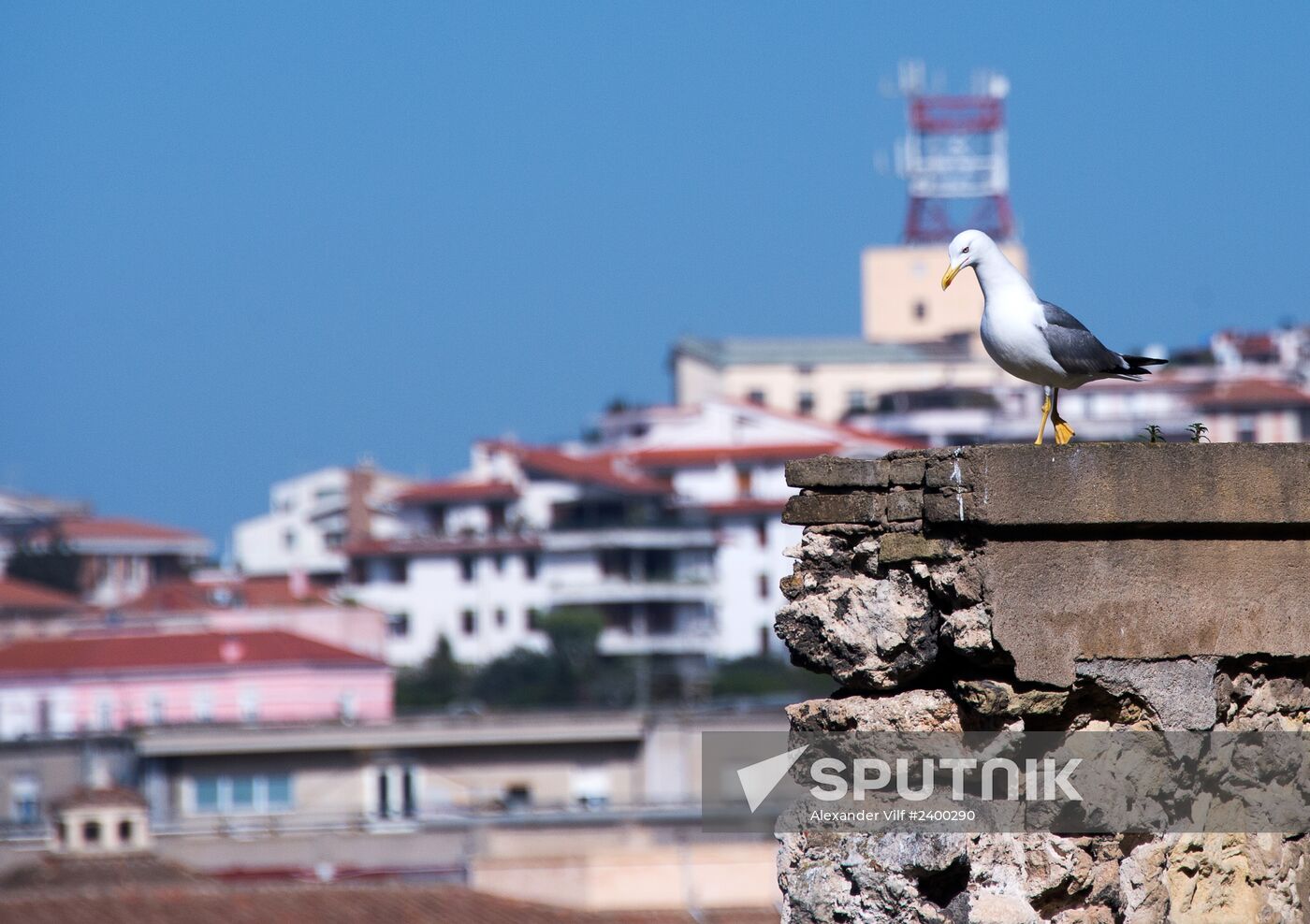 Cities of the world. Cagliari