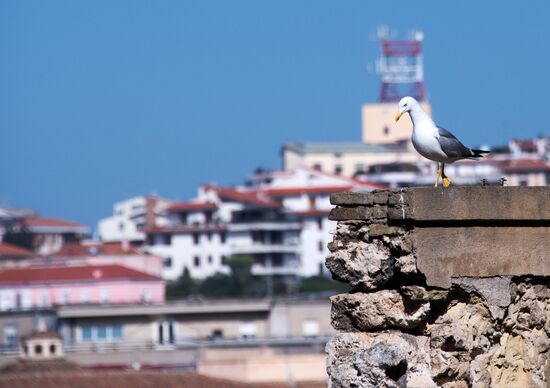 Cities of the world. Cagliari