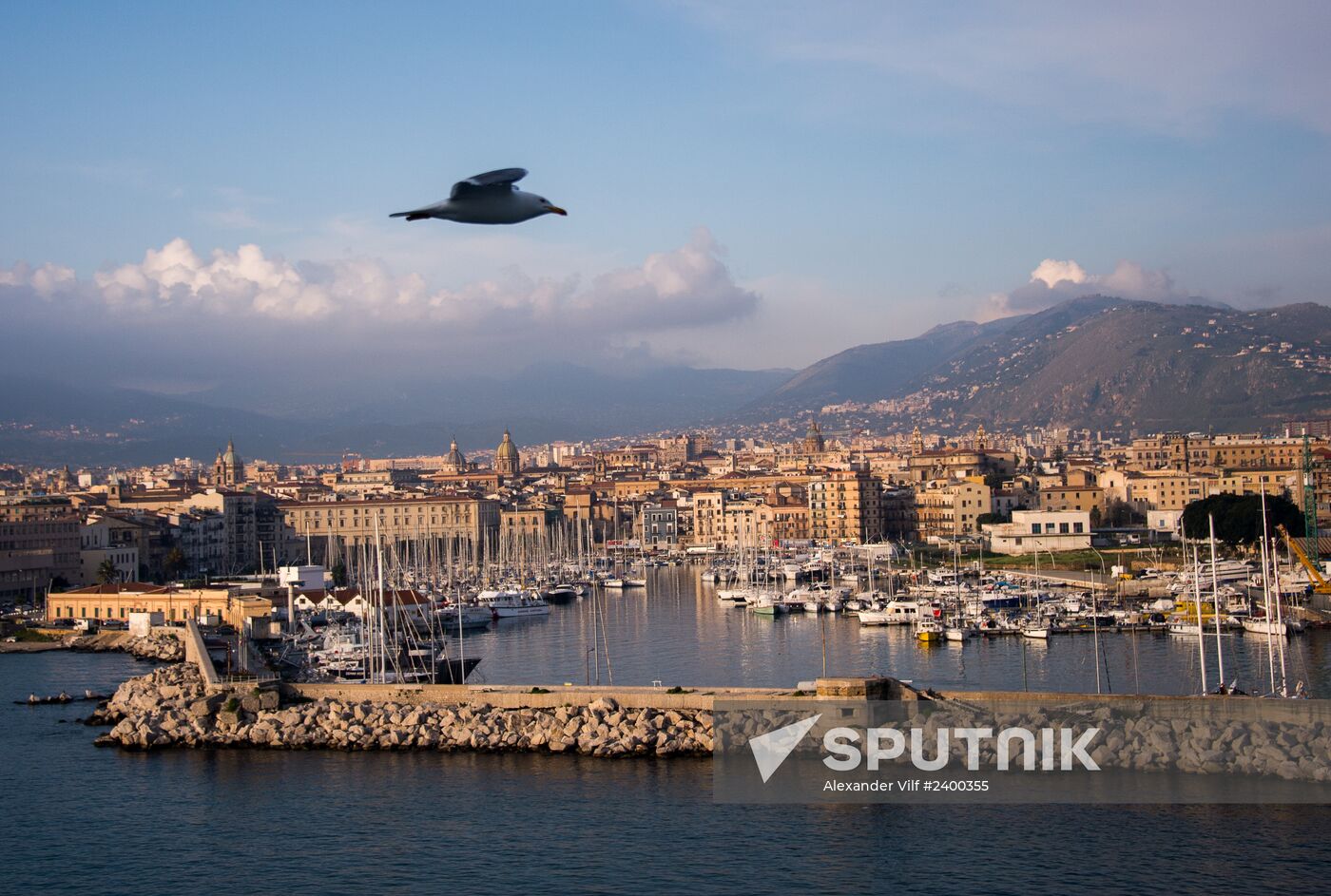 World cities. Palermo