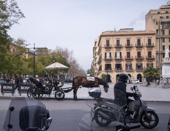 World cities. Palermo