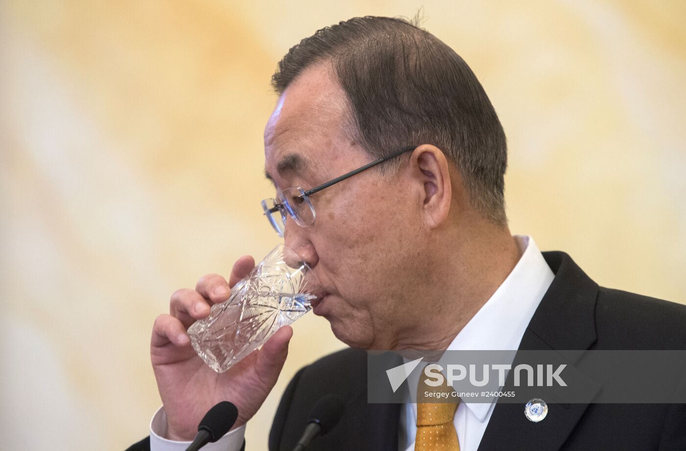 Vladimir Putin meets Ban Ki-moon