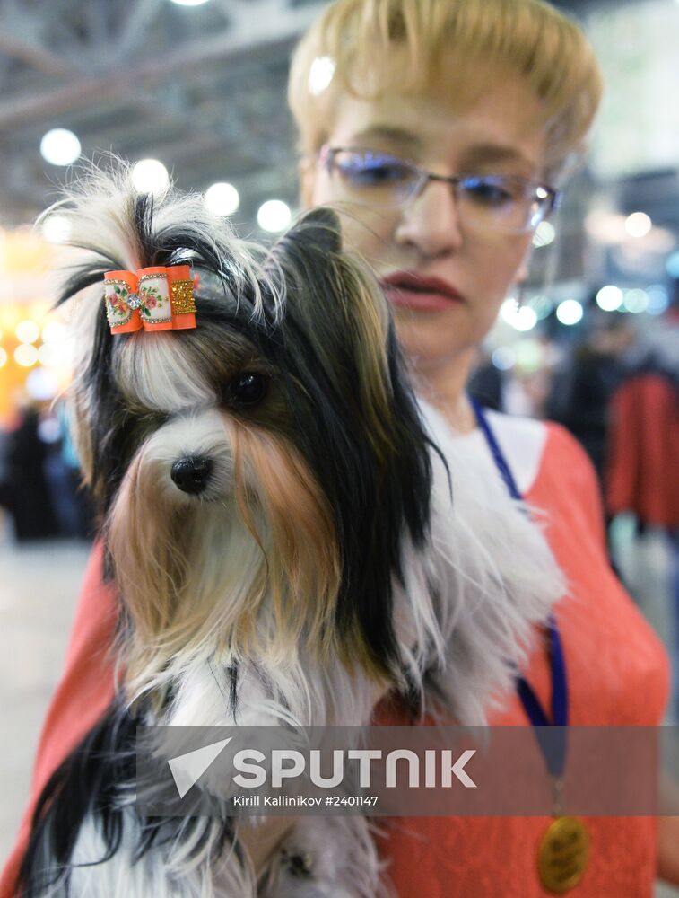 Eurasia-2014 Dog Show