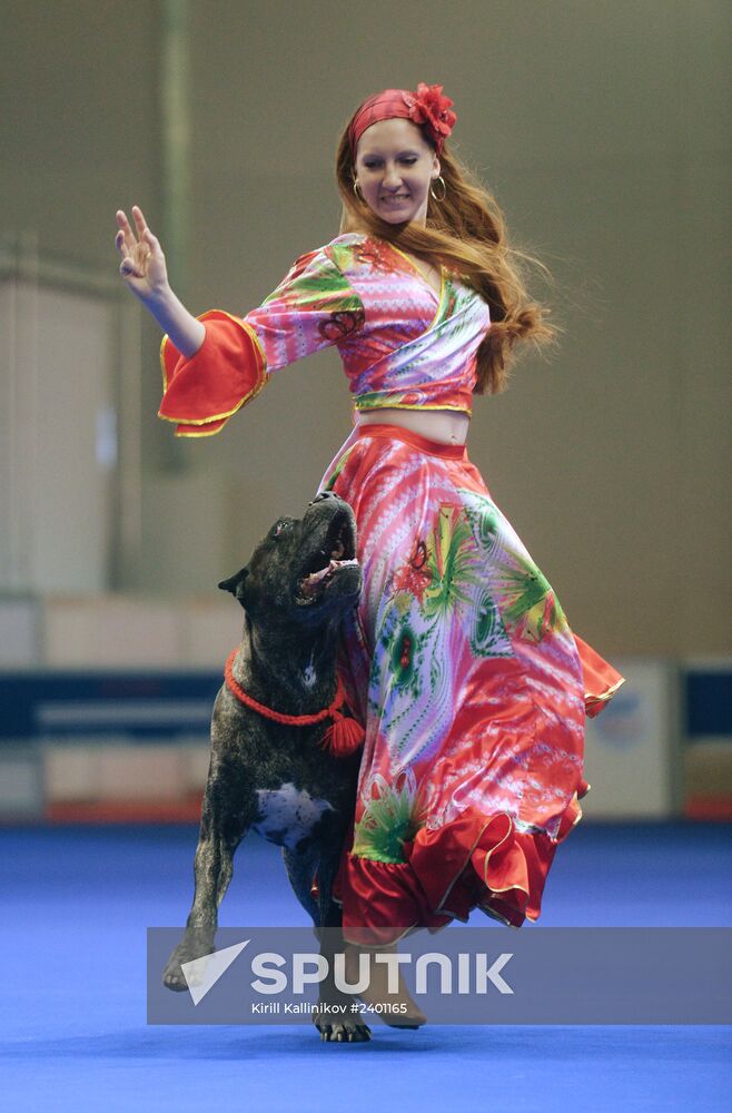Eurasia-2014 Dog Show