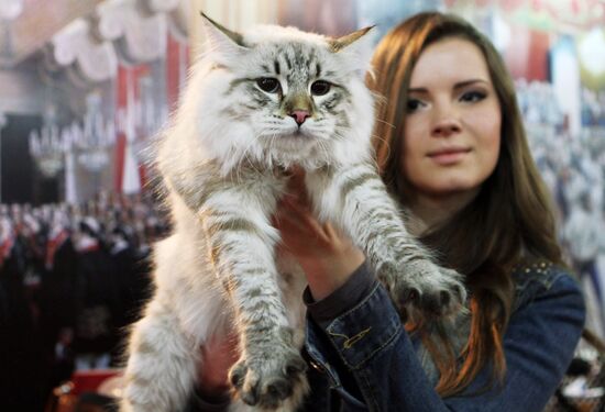 International Cat Show in Bishkek