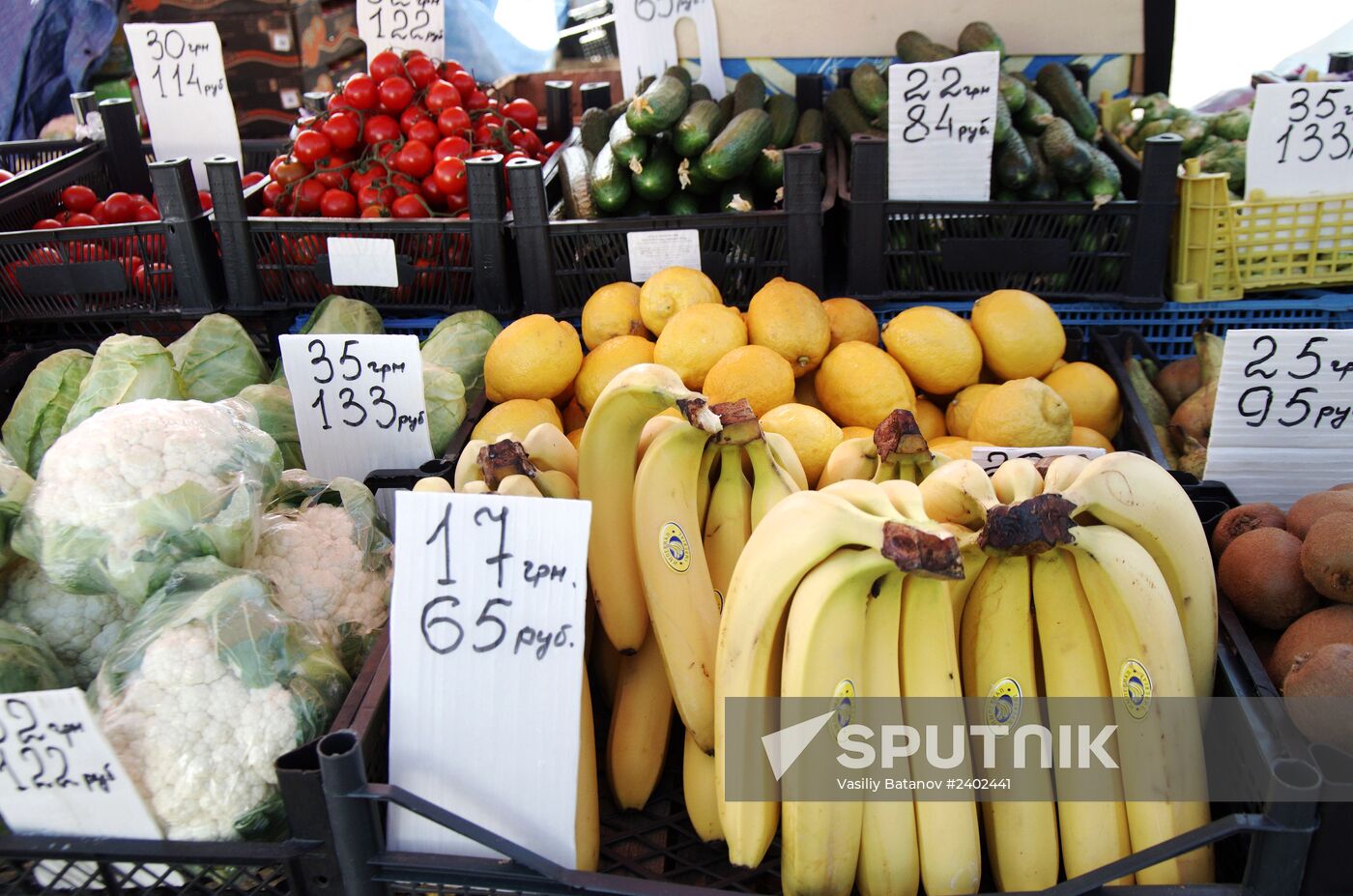 Russian ruble begins official circulation in Crimea