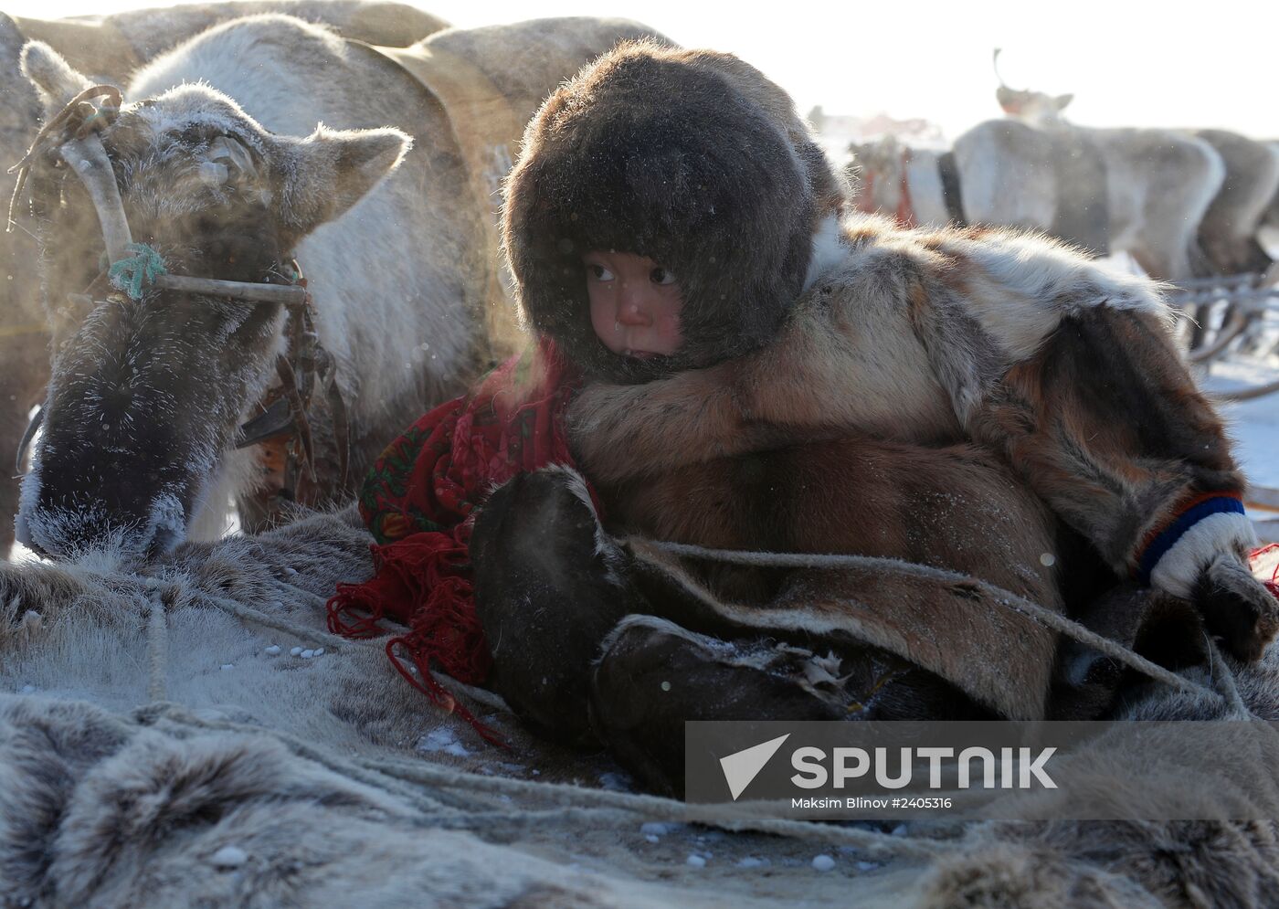 Reindeer Herder Day celebrated in Salekhard