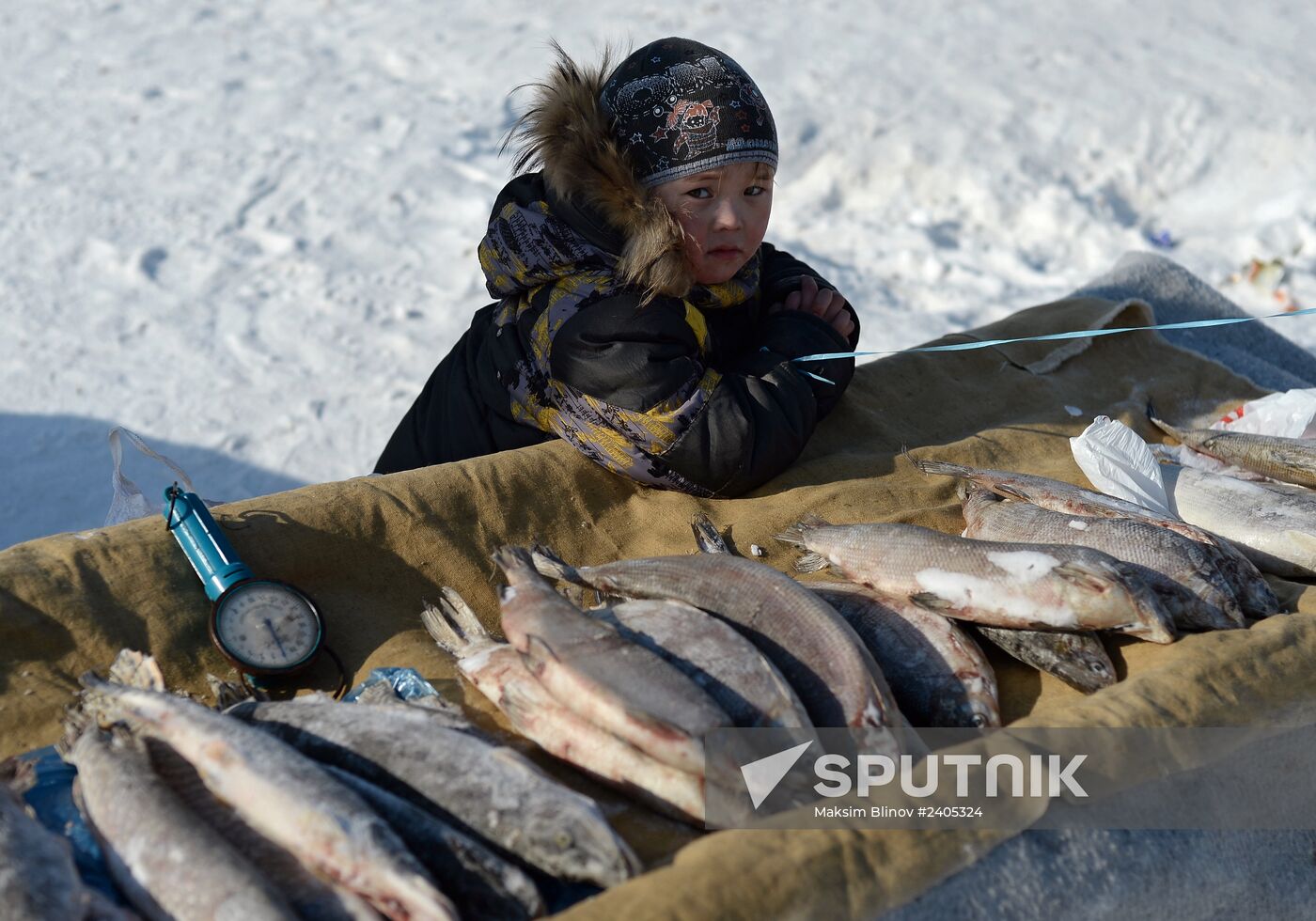 Reindeer Herder Day celebrated in Salekhard