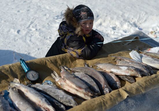 Reindeer Herder Day celebrated in Salekhard