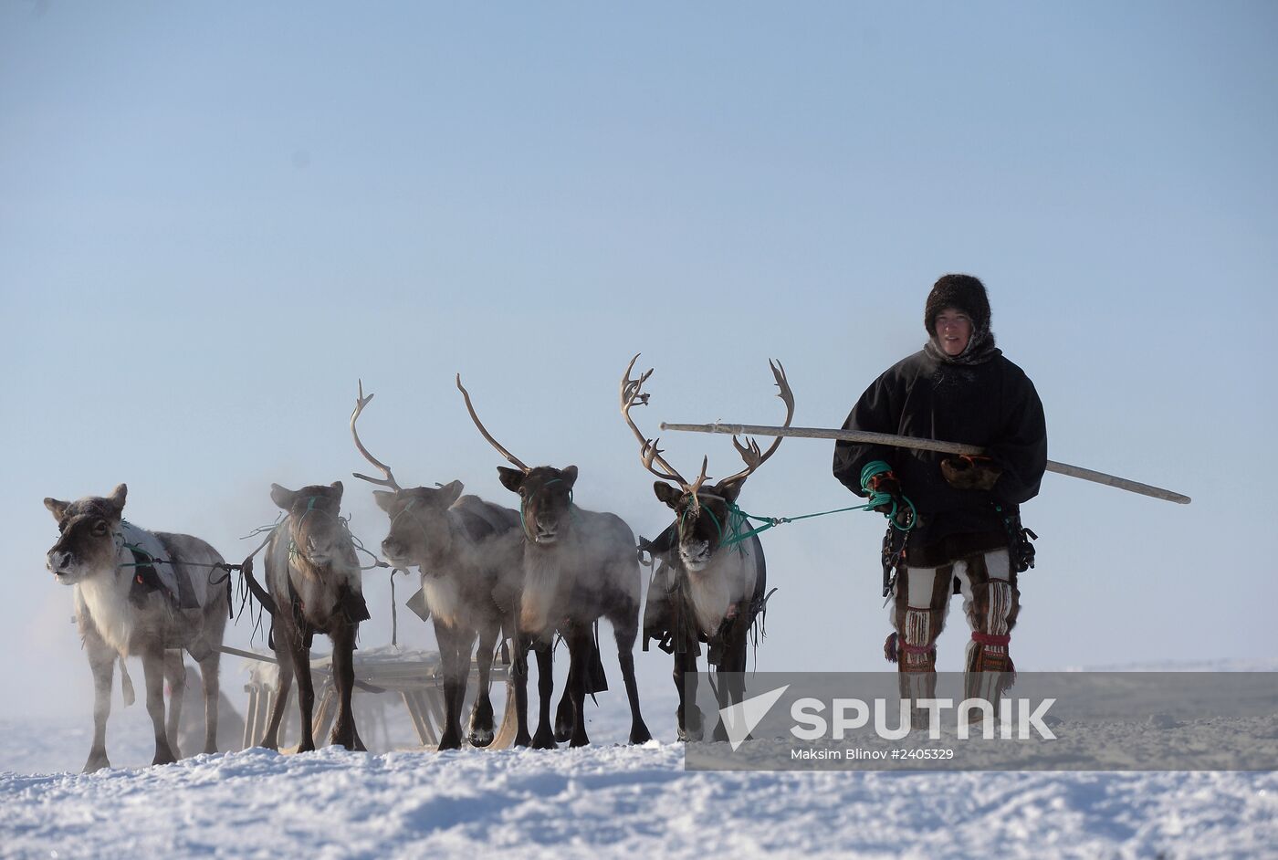 Reindeer Herder Day celebrated in Salekhard
