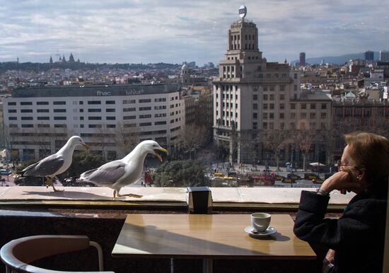 World cities. Barcelona