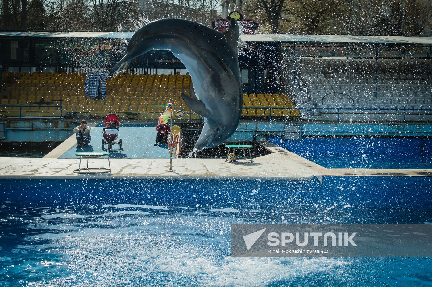 Dolphinarium in Sevastopol