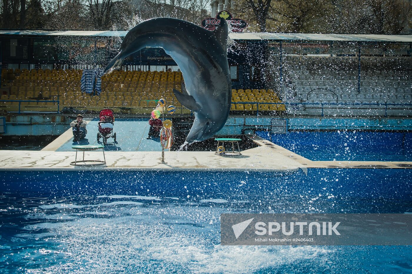 Dolphinarium in Sevastopol