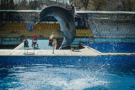 Dolphinarium in Sevastopol